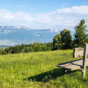 Una panchina in legno su un prato fiorito con vista sulla valle e sulle montagne circostanti.